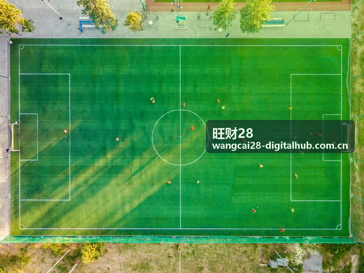 旺财28——知识产品案例